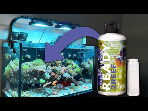 The ALL IN ONE solution for your REEF TANK - Ready2REEF
