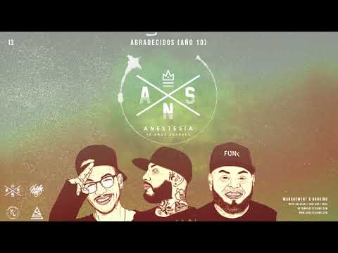 13.- ANESTESIA - AGRADECIDOS