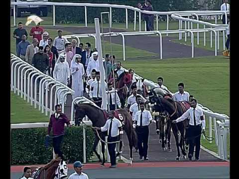 9th Race Meeting Season 2016 / 2017