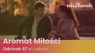 AROMAT MIŁOŚCI | Odcinek 67 | Cały Odcinek