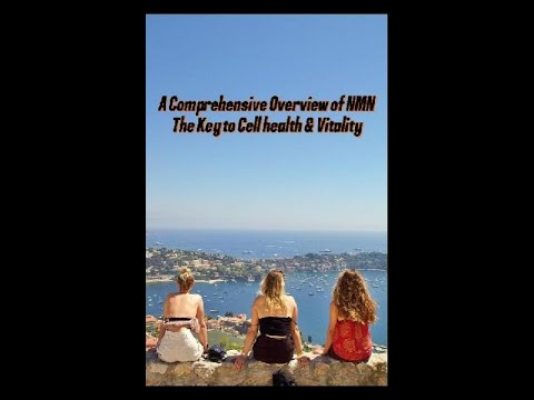 A Comprehensive Overview of NMN: The Key to Cell Health and Vitality