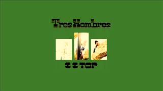 ZZTop &quot;Beer Drinkers &amp; Hell Raisers&quot;