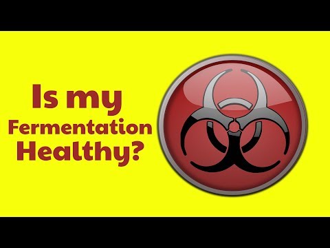 Is My Fermentation Healthy?