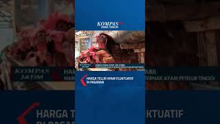 Download lagu Harga Telur Ayam Fluktuatif di Pasaran #shorts #harga #telur #ayam #fluktuatif #jawatimur #pasar mp3 Download lagu Harga Telur Ayam Fluktuatif di Pasaran #shorts #harga #telur #ayam #fluktuatif #jawatimur #pasar mp3