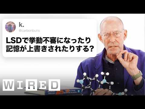 幻覚剤について詳しく解説