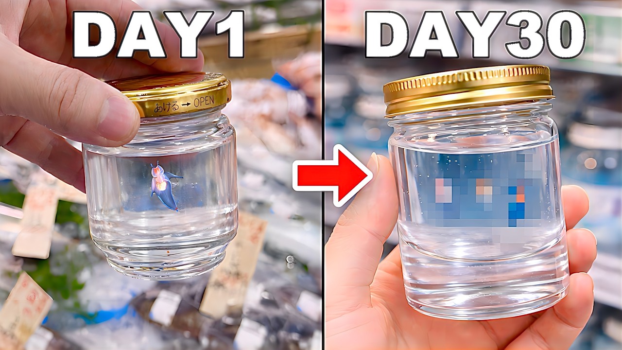 スーパーに売っていたクリオネを最新システムで飼育する