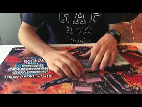 TOP16 YCS RIMINI 2017 PURE ZOO BY BATISTE