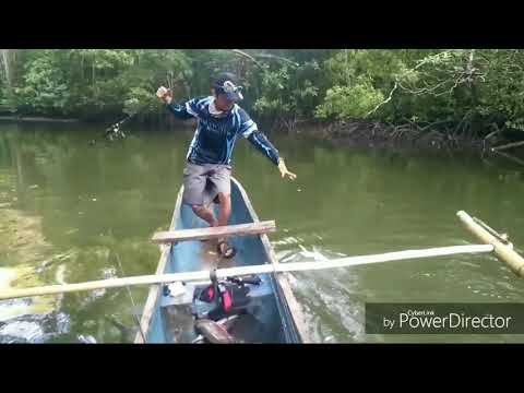 Fishing With DUO REALIS Jerkbait 120SP Pike Limited! Catch And Release Indonesian Black Bass