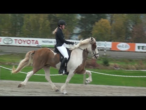 Sleipnir Competition | 01.10.2017