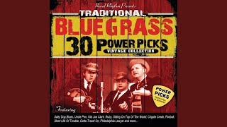 Down In The Willow Garden