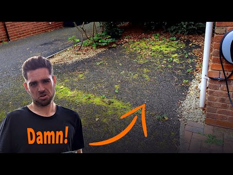 Big old mossy tarmac clean & biocide treatment