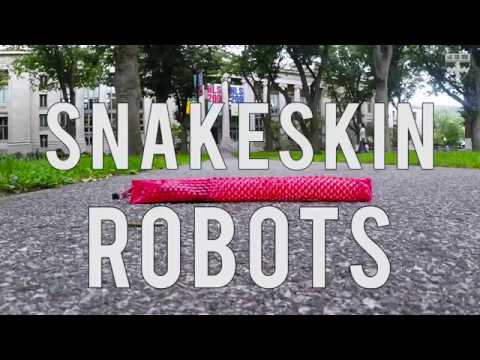 These Creepy Little Robots Can Slither Like A Snake
