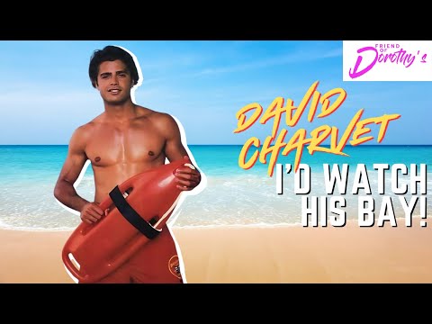 Was David Charvet the ultimate 90s hunk?