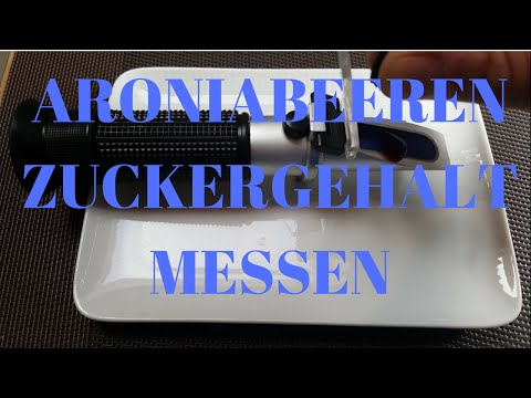 Aroniabeeren Zuckergehalt messen in Brix mit einem Refraktometer
