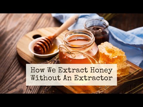 , title : 'How to extract honey without an extractor ~ Our simple, inexpensive set up for harvesting honey'