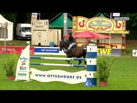 Holsteiner Verbandshengste | Turnierimpression - Million Dollar Dobrock 2019