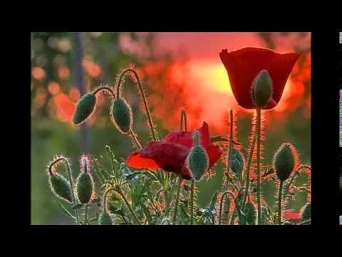 download lagu mp3 mp4 классика в современной обработке скрипка и бит, download lagu классика в современной обработке скрипка и бит gratis, unduh video klip Download классика в современной обработке скрипка и бит Mp3 dan Mp4 Popular Gratis