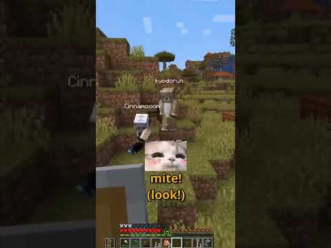 playing minecraft with my japanese friends