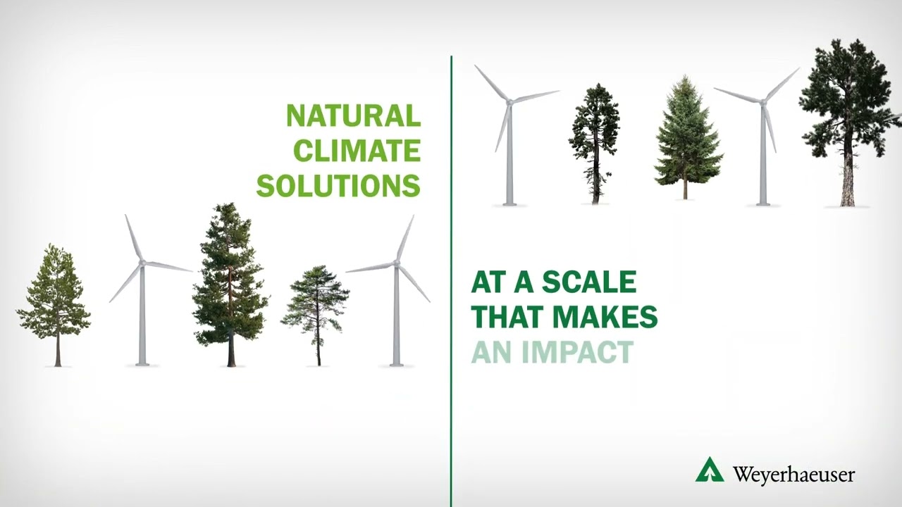 Weyerhaeuser's Natural Climate Solutions