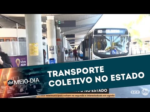 Transporte coletivo no estado | SBT Meio-dia (19/06/20)