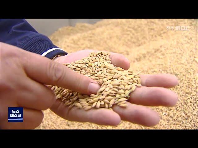 쌀 수매...예년에 없는 흉작