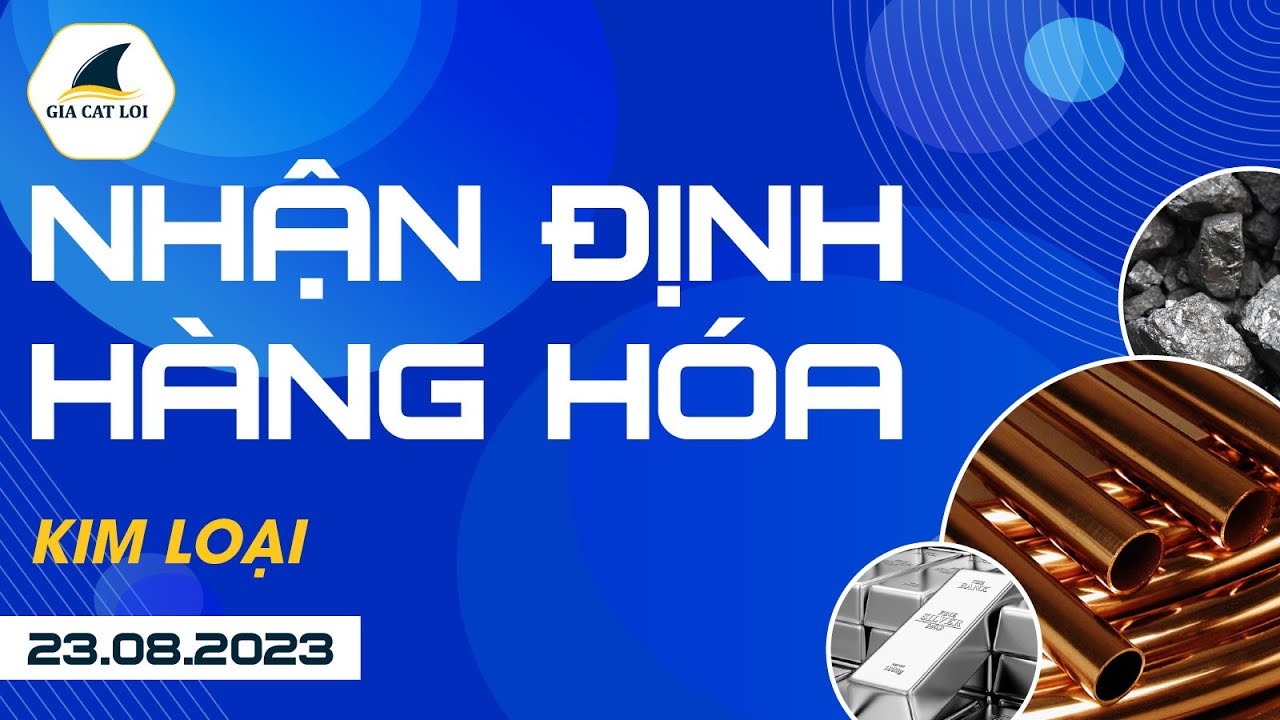 Nhận Định Hàng Hoá Kim Loại Ngày 23/08/2023