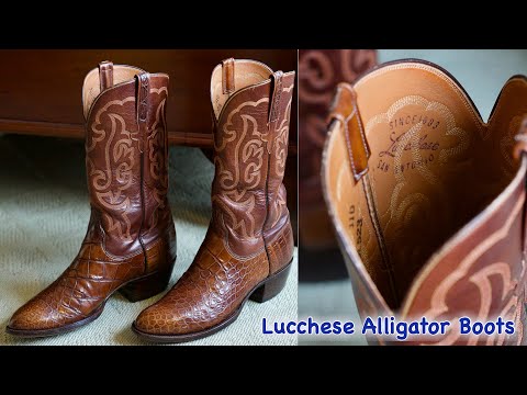 Lucchese Alligator Boots San Antonio in 4k UHD