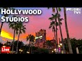 Live An Evening In Hollywood At Disney S Hollywood Studios Walt Disney World Live Stream