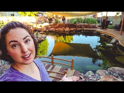 image-How much does it cost to install a natural pool?