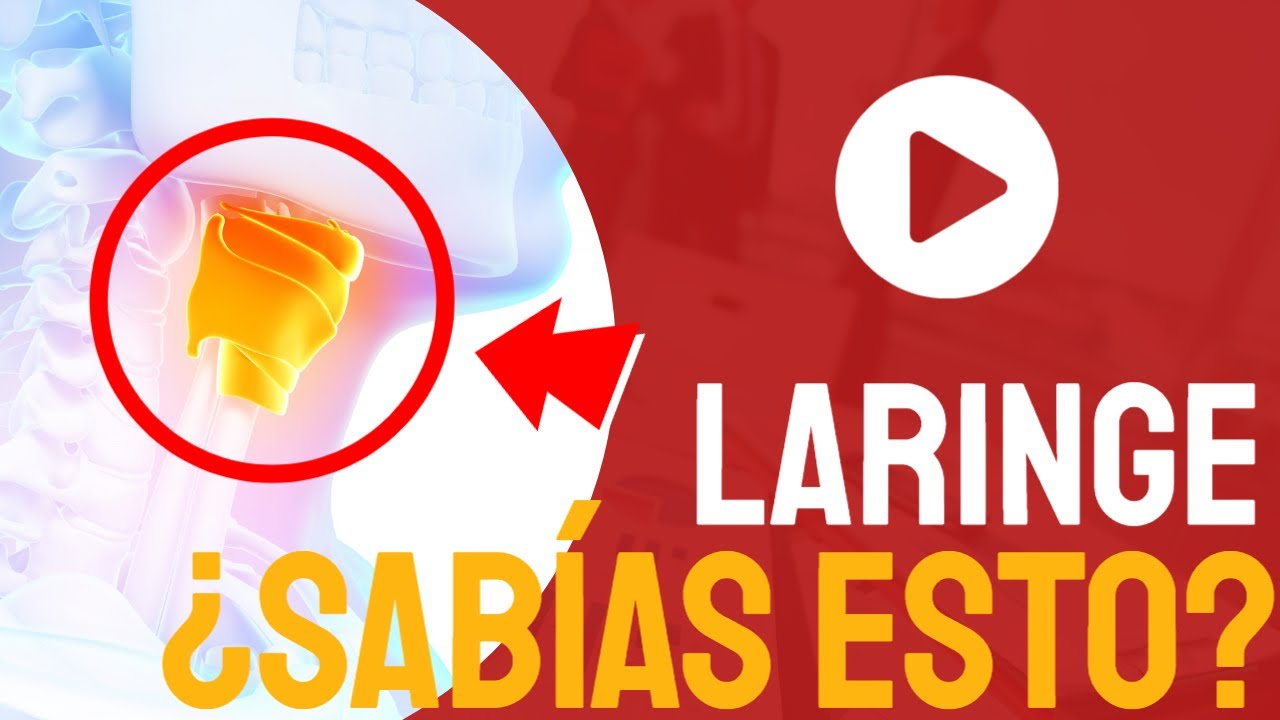 🤷‍♂️¿Sabías ESTO de la LARINGE🤷‍♂️ 👉👉👉 [ANATOMIA]