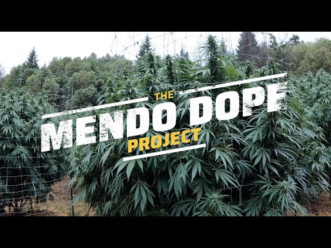 THE "MENDO DOPE" PROJECT - EP. 7 (MENDO MINIONS)
