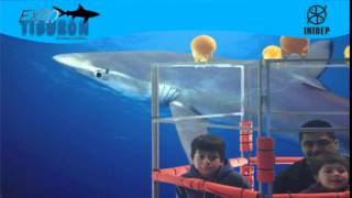 DIA 3 Expo Tiburon136