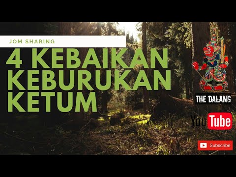 Khasiat Air Tebu Pahit