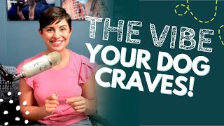 What Your Dog Sees: The Science of Visual Enrichment | Ep. 4