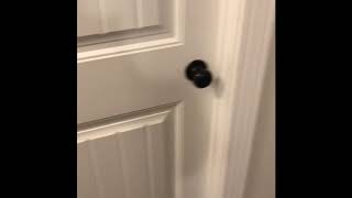 How To Shut The Door Quietly