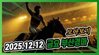 2025년 12월 12일 금요 부산경마 전체경주 모아보기