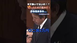 【政治】「現状を把握しろ！」榛葉賀津也が中国人による日本の土地を買い漁りを放置する石破政権に吠える… #政治 #石破茂 #国土　#榛葉賀津也