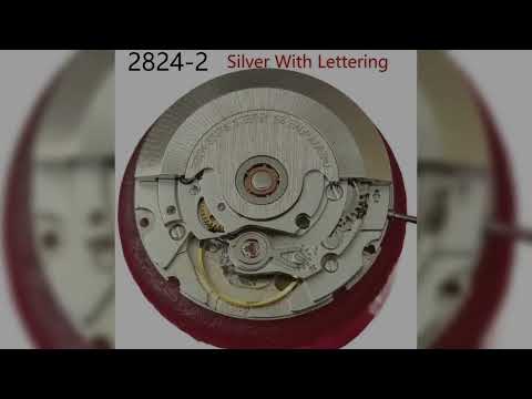 A must-have product! New Replacement for Swiss ETA2824-2 Movement Chinese Seagull 2824 Movement Wa