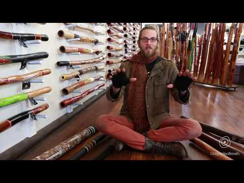 Didgeridoo Buyers Guide - Introduction - 0 of 10