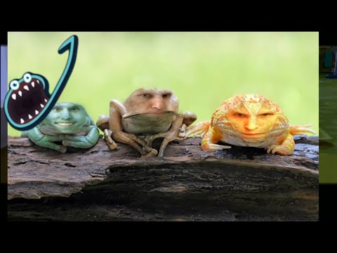 Jerma Streams - Chibi-Robo! (Part 2a)