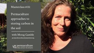 Soil repair as climate activism: practical earth repair you can do anywhere with Morag Gamble.