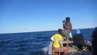 preview picture of video 'Boat transfer at the middle of Pacific Ocean from Patnanungan to Jomalig Island'