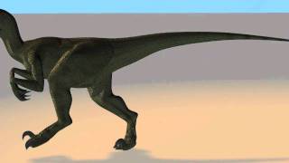 3d animated Deinonychus Walking