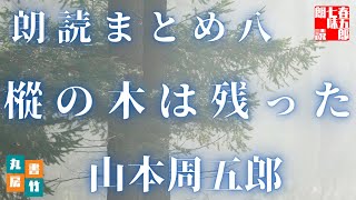 【朗読まとめ　第八巻】樅の木は残った／山本周五郎作　　読み手七味春五郎／発行元丸竹書房　 @sitiharu-tv