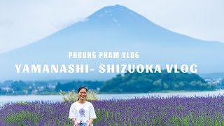 Dạo quanh núi Phú Sĩ- Biểu tượng của Nhật Bản.