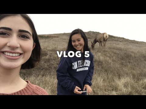 download lagu mp3 mp4 Blog Oum Lila, download lagu Blog Oum Lila gratis, unduh video klip Blog Oum Lila