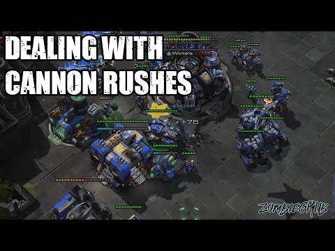 Cannon Rush, Void Rays, Battlecruiser??