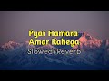 Pyar Hamara Amar Rahega | Muddat | Slowed And Reverb | Old Song | Swag Music World