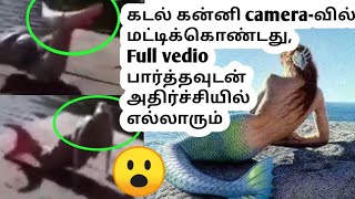 Download lagu Real mermaid in tamil||kadal kanni in tamil mp3
