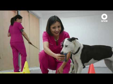 A + A - Las huellas de Monita (15/06/2024)